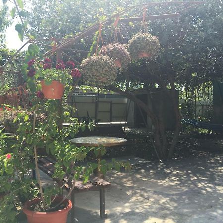 Guesthouse Milena Leselidze 外观 照片