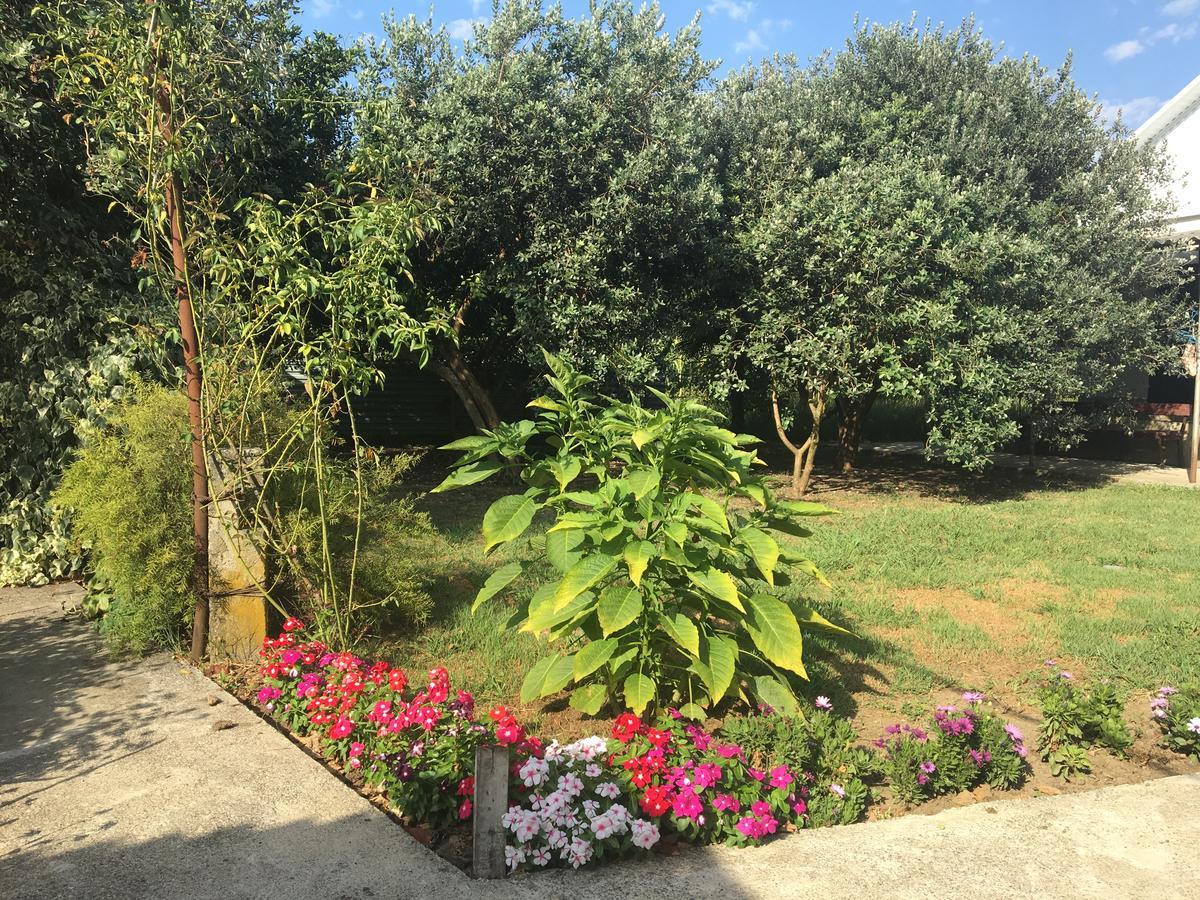 Guesthouse Milena Leselidze 外观 照片